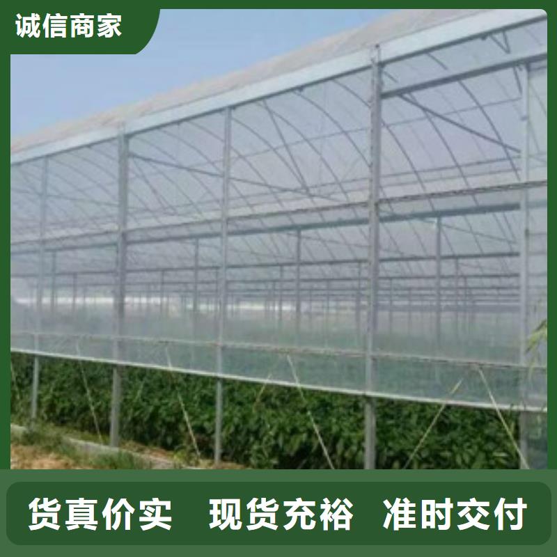 内蒙古直销[泽沃]大棚钢管厂专业生产花卉蔬菜实时报价、