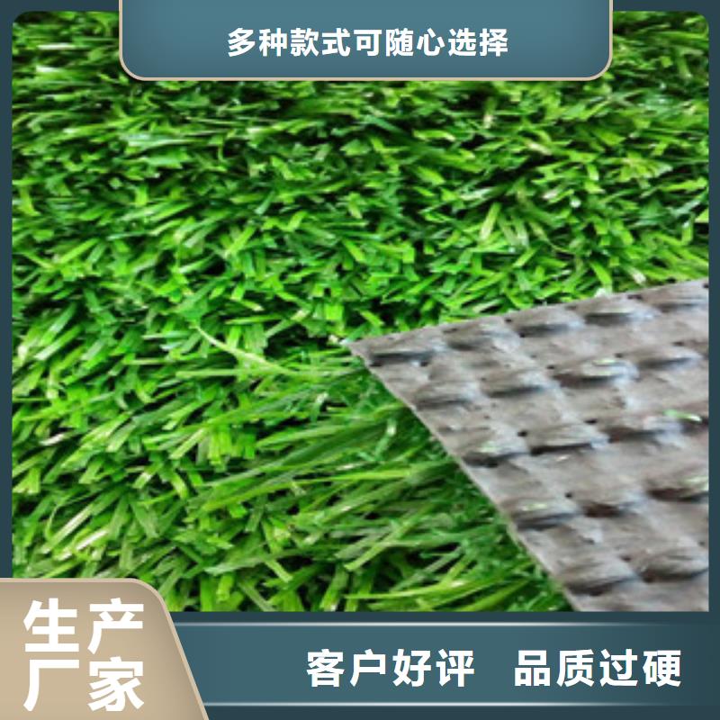 【体奥】莱阳市工地人造草坪生产施工