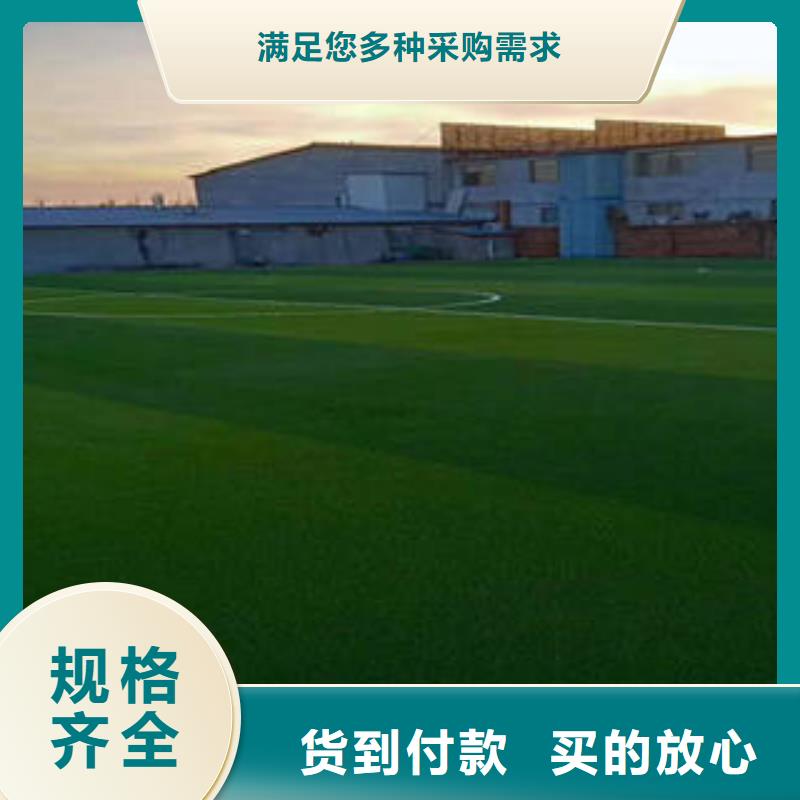 [奥体通]2024塑胶球场施工材料