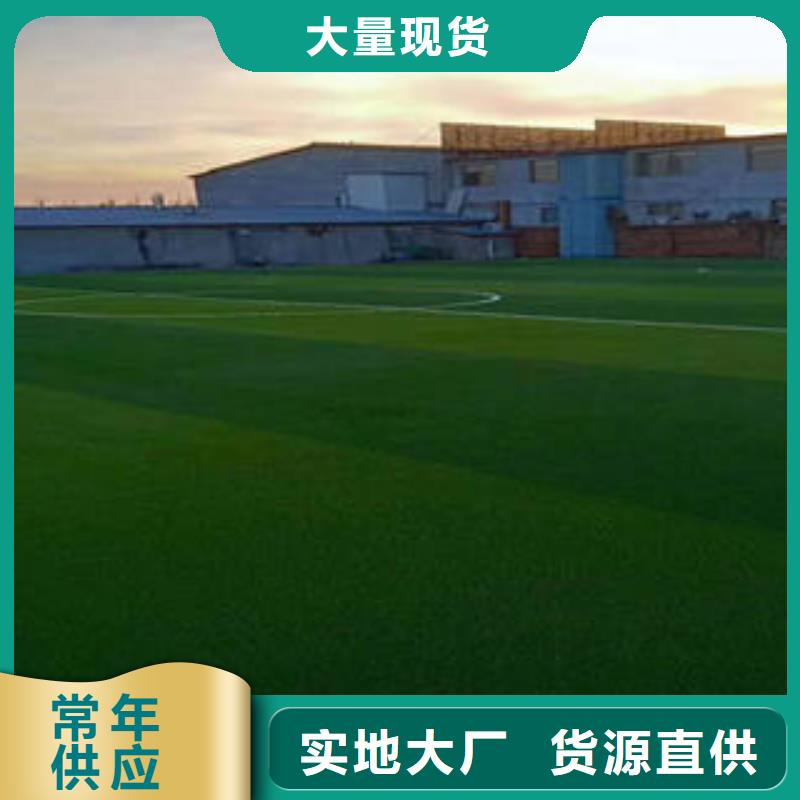 [奥体通]北京市球场人造草坪修补