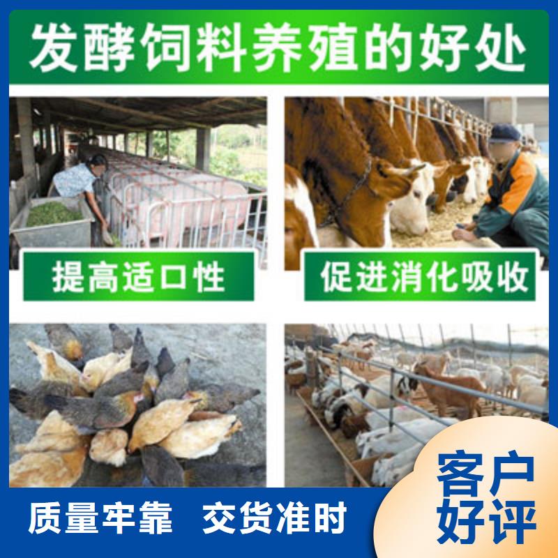 广东当地秸秆青贮发酵剂量大优惠