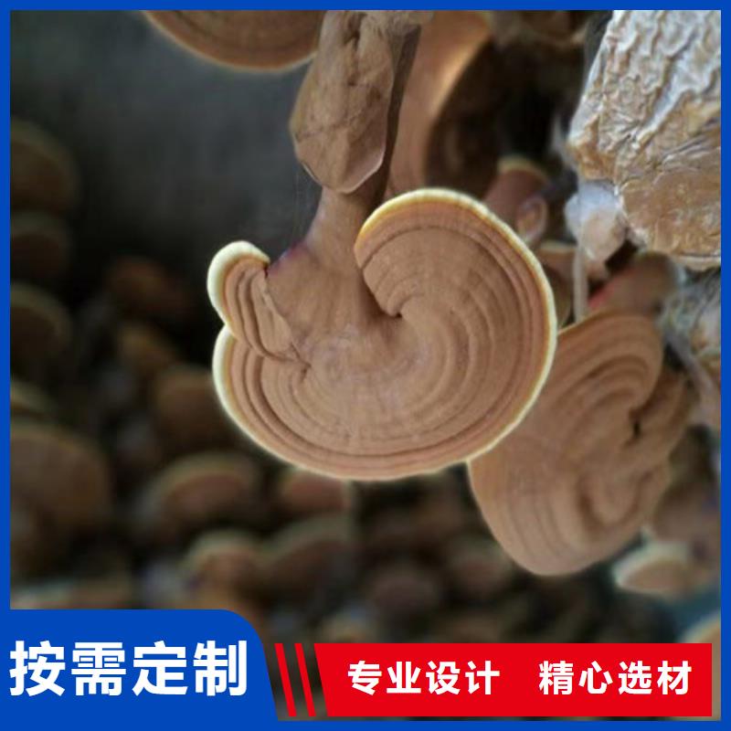 湘潭生产
灵芝超微粉生产厂家有样品