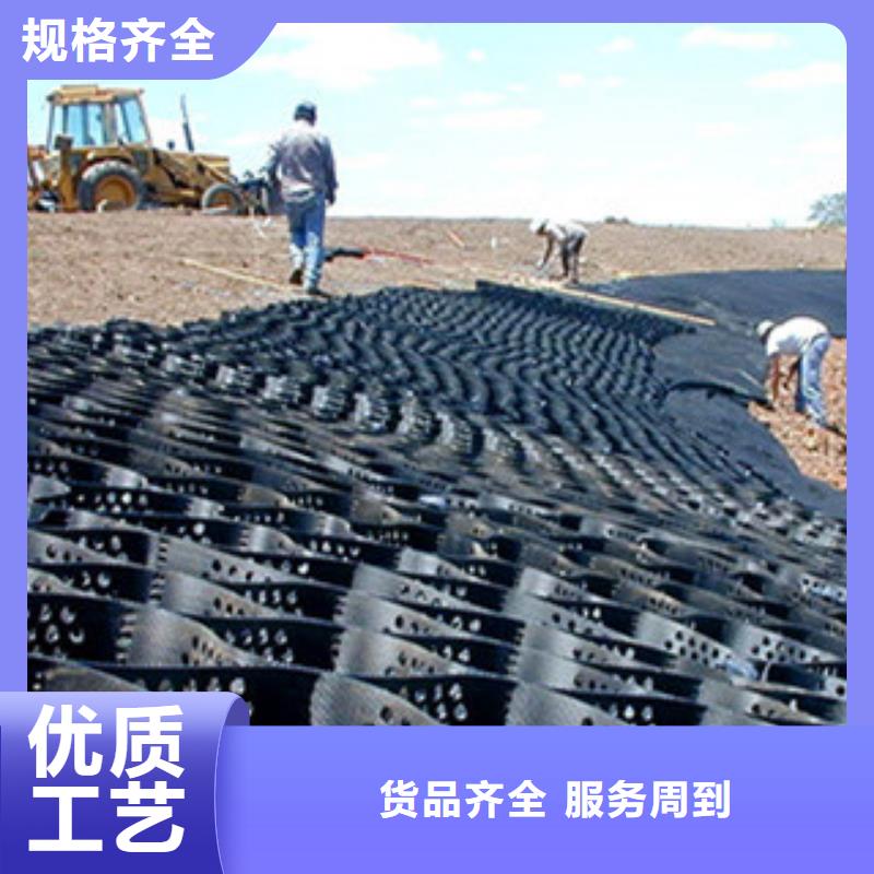 专业的生产厂家[东锴]塑料土工格室300x300工厂源头