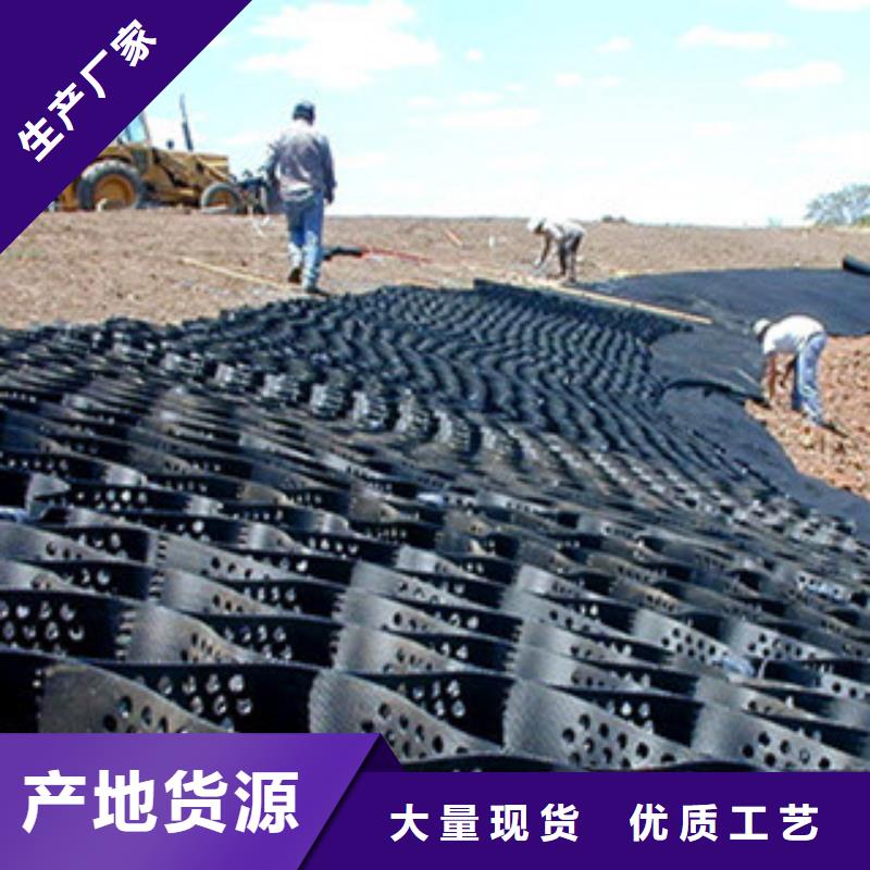 直销<东锴>塑料土工格室用于边坡源头厂家