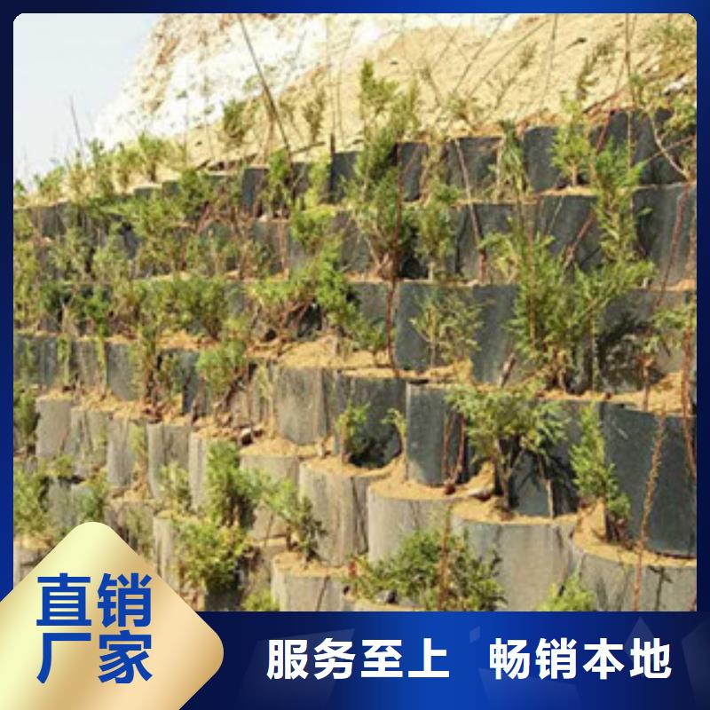 <东锴>襄樊生态停车场用于河道工厂直销