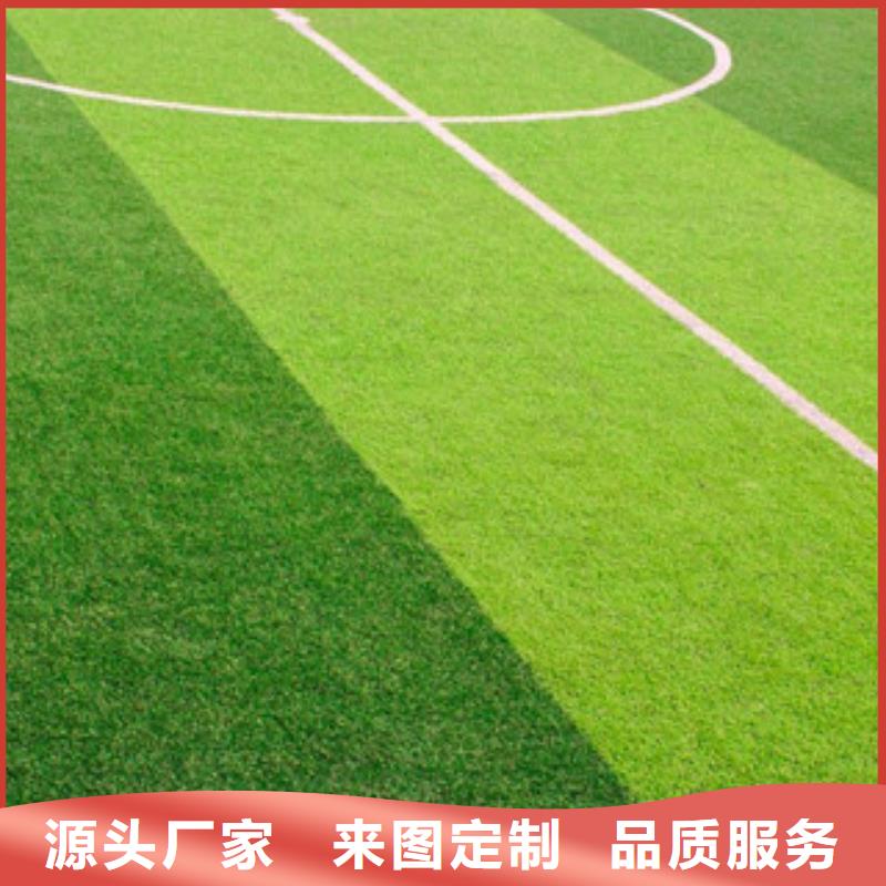 枣强县工地人造草坪设计施工