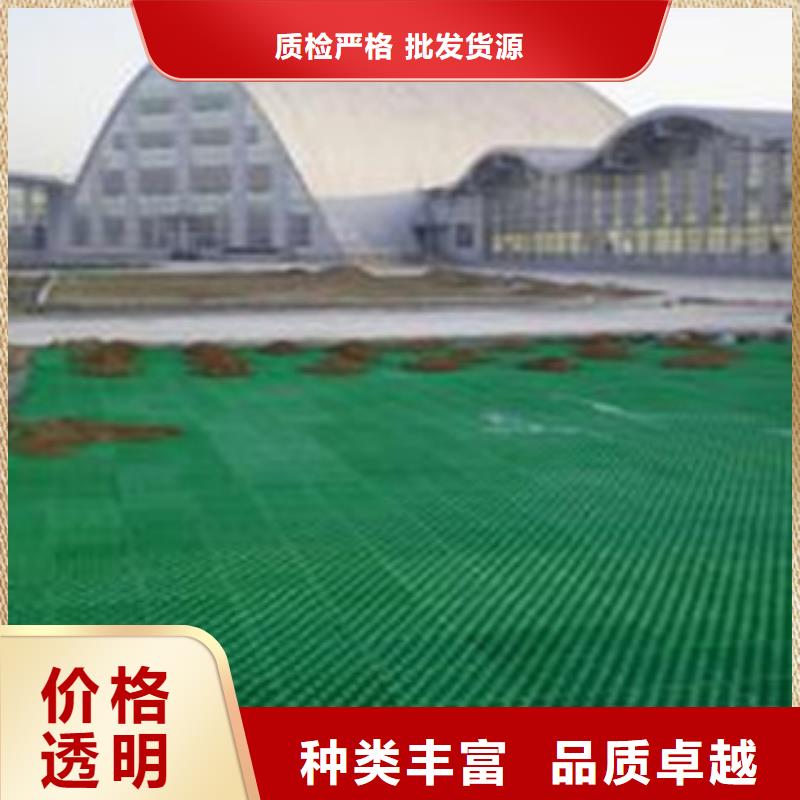 贵州当地<富泰>人行道绿化塑料草坪格厂家报价
