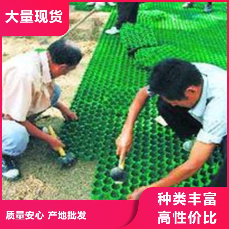 贵州当地<富泰>人行道绿化塑料草坪格厂家报价