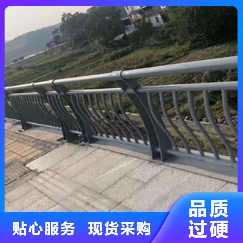 选购《展鸿》碳钢喷塑桥梁防撞栏杆工艺精湛品质高超