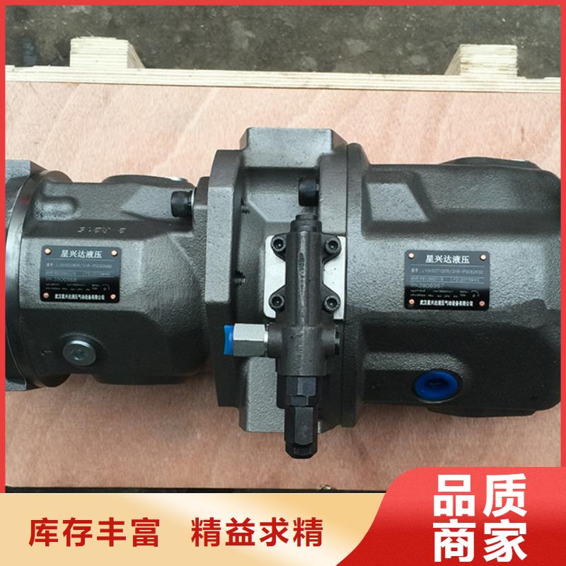 A4VG125HD1D2/32R-NSF02F02F021P液压泵设计