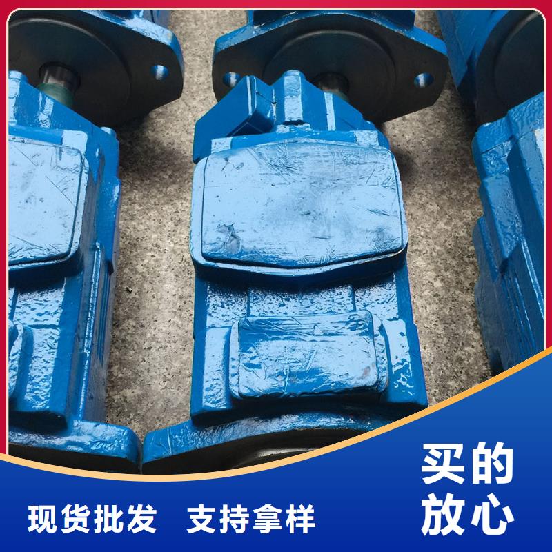 杭州选购PV12-25-26低噪音叶片泵