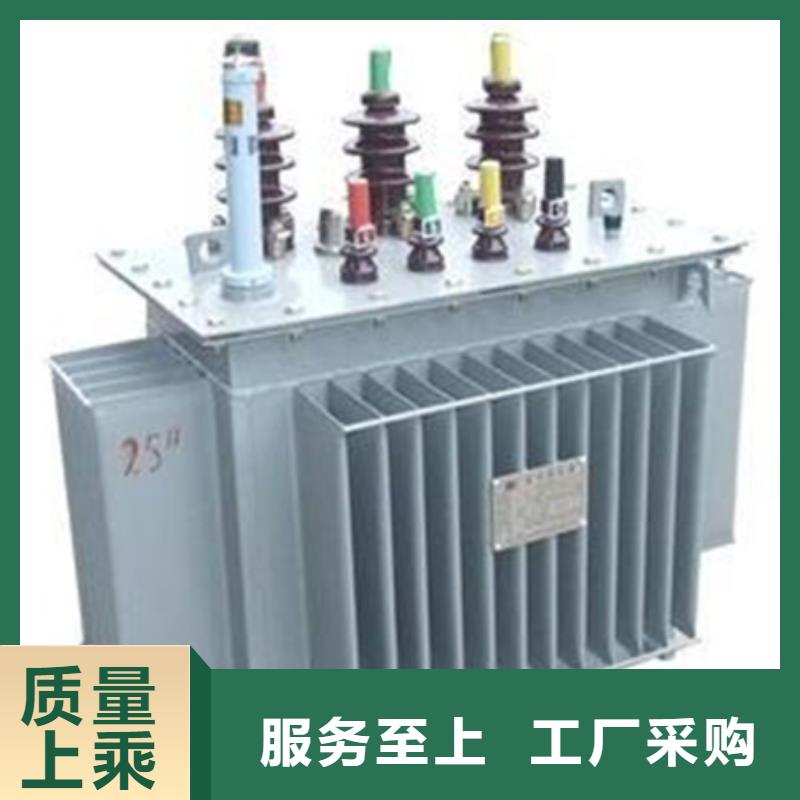 315KVAS11油浸式电力变压器设计制造标准