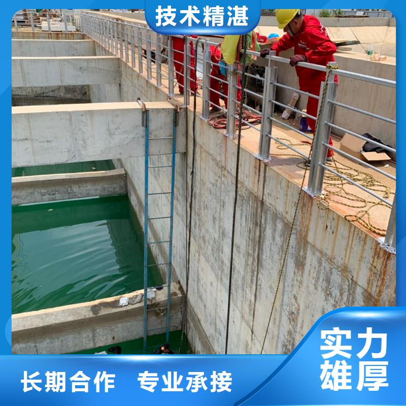 承接【银龙】水下检测公司-桥桩水下录像服务