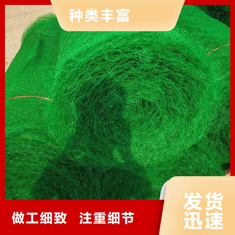 直供【大广】三维土工网垫价格信息-三维土工网垫生产厂家