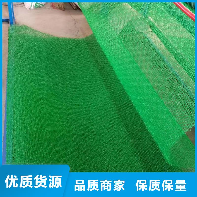 三维土工网垫价格信息-三维土工网垫生产厂家