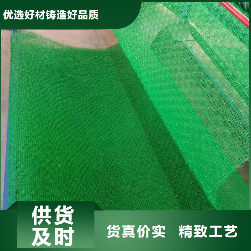 生产安装【大广】三维土工网垫价格信息-三维土工网垫生产厂家