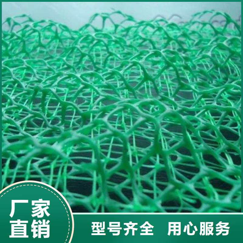 直供【大广】三维土工网垫价格信息-三维土工网垫生产厂家