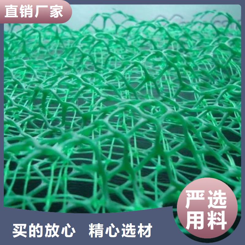 选购(大广)三维植被网|三维网垫植草护坡|三维土工网垫厂家哪家好