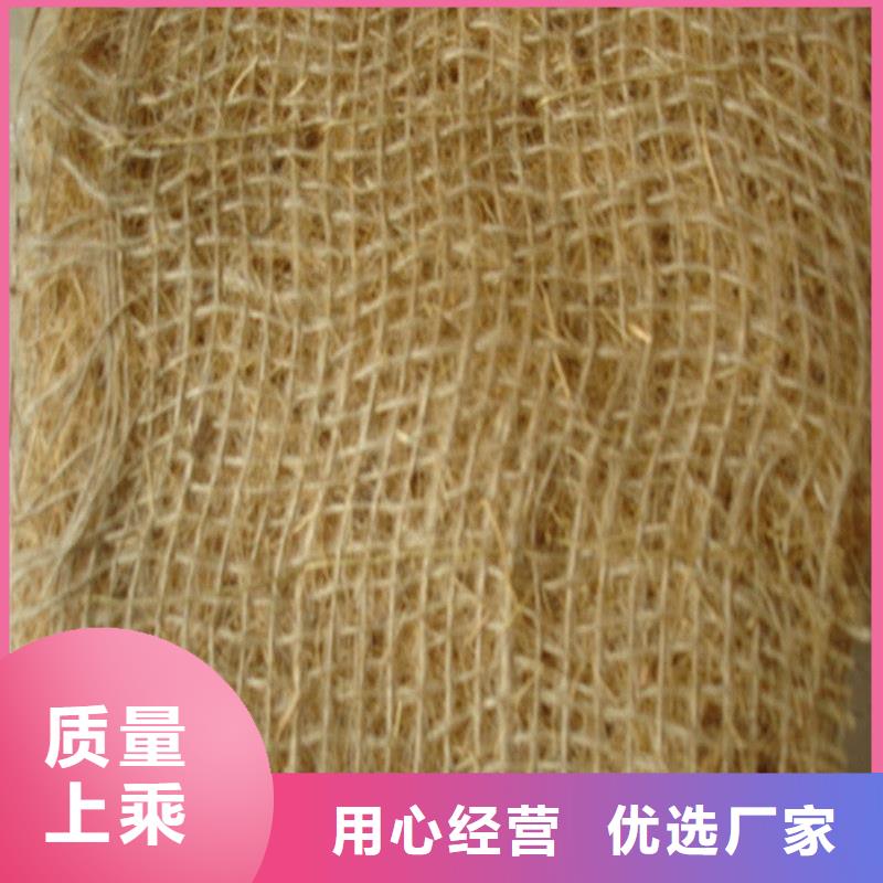 麻椰固土毯品质优良同城服务商