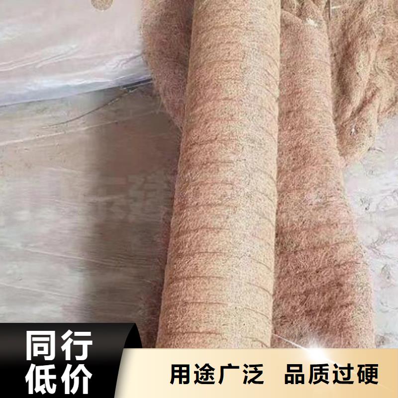 麻椰固土毯质量上乘厂家优质货源