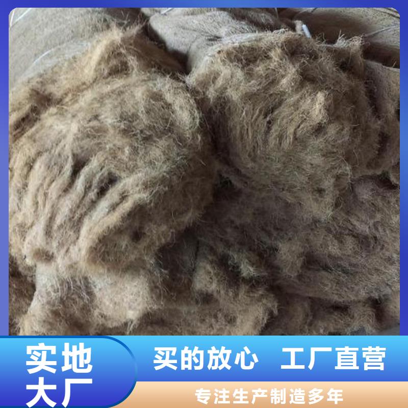 质量可靠的麻椰固土毯供货商质检合格出厂