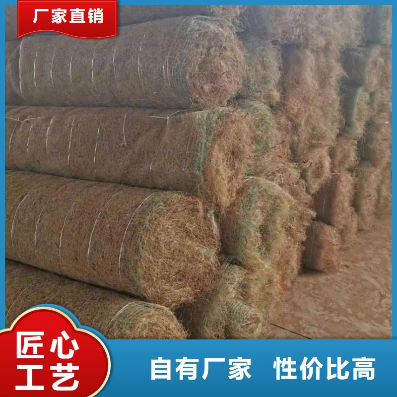 规格全的麻椰固土毯实体厂家质检严格放心品质