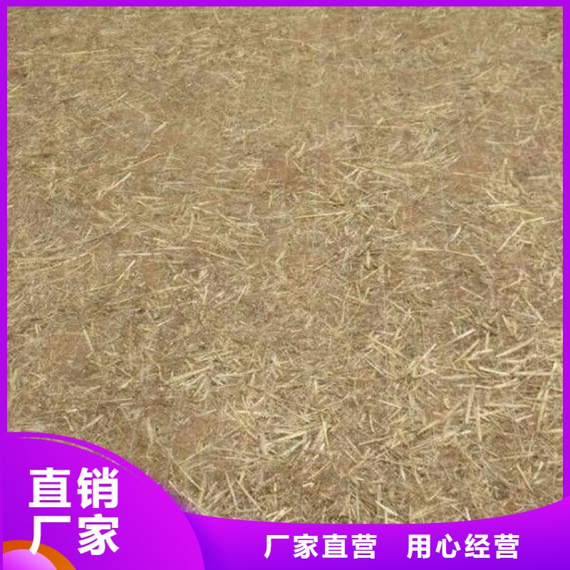 找麻椰固土毯实体大厂质检严格放心品质