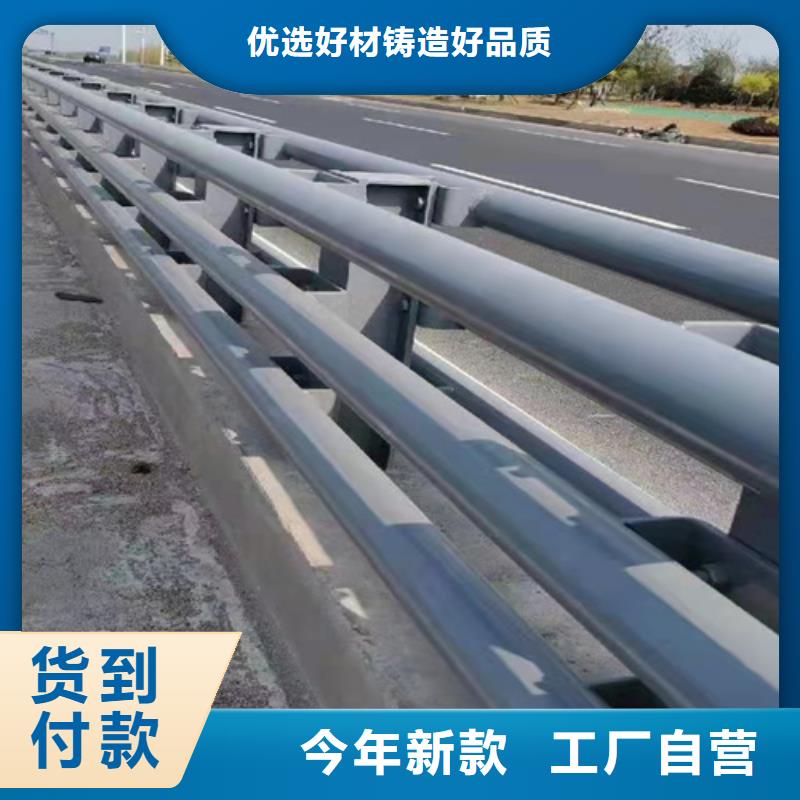 生产销售#桥梁钢护栏#的厂家实拍品质保障
