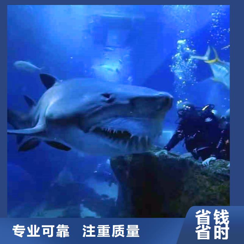 水_水公司技术好