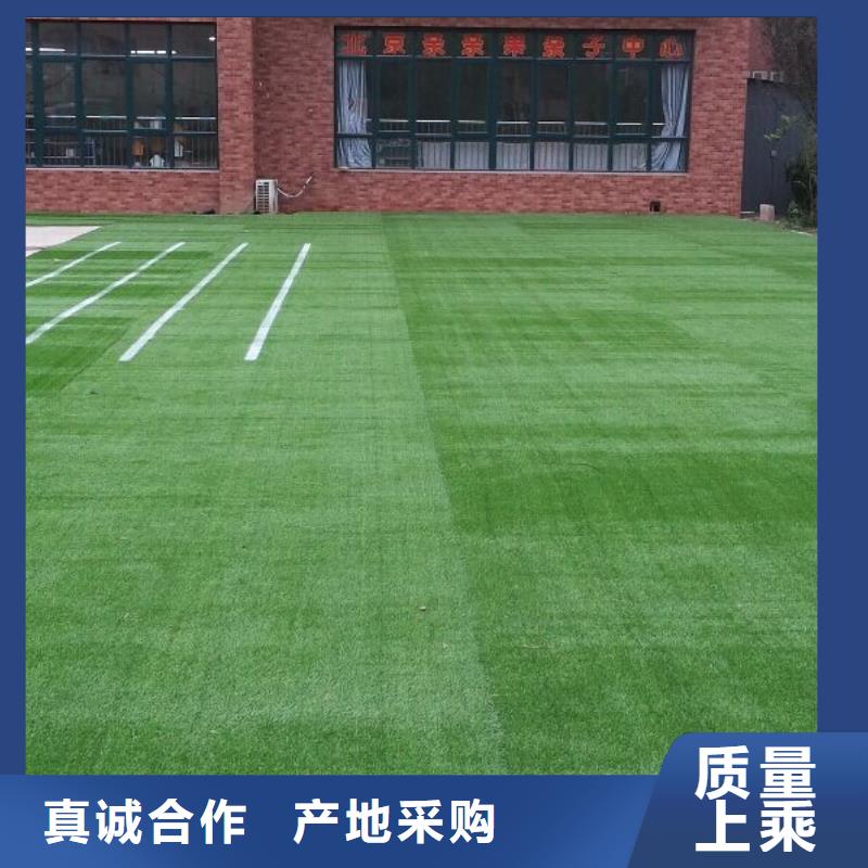 塑膠籃球場研發廠家廠家現貨批發