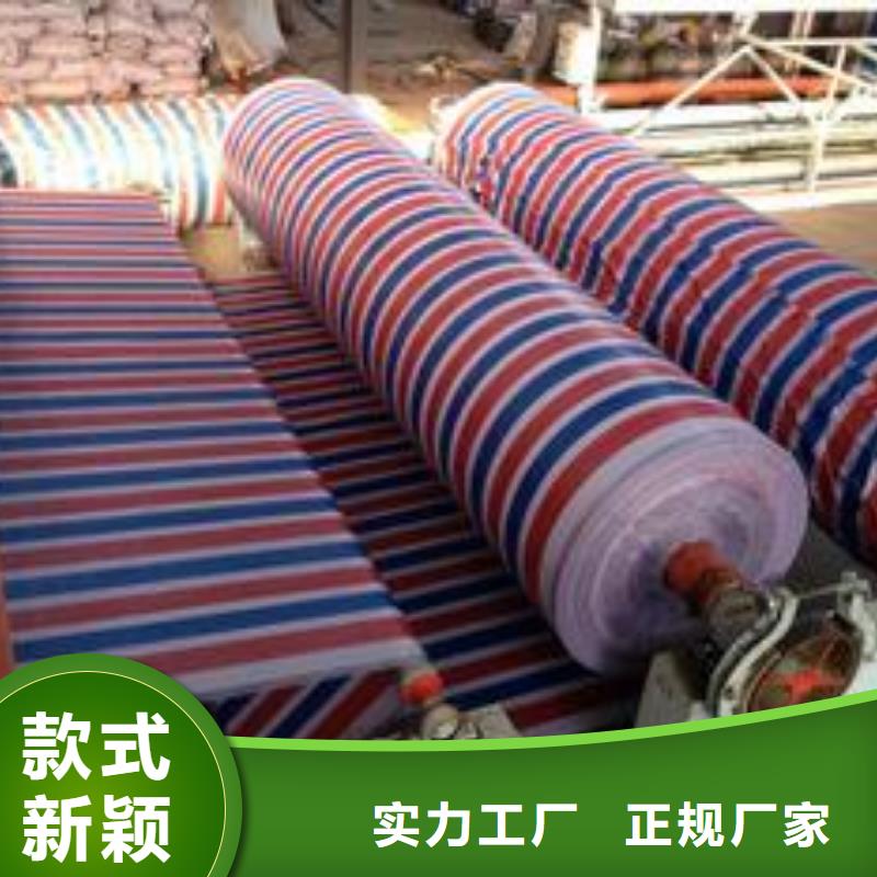 衢州经营优质五色聚乙烯彩条布供应商