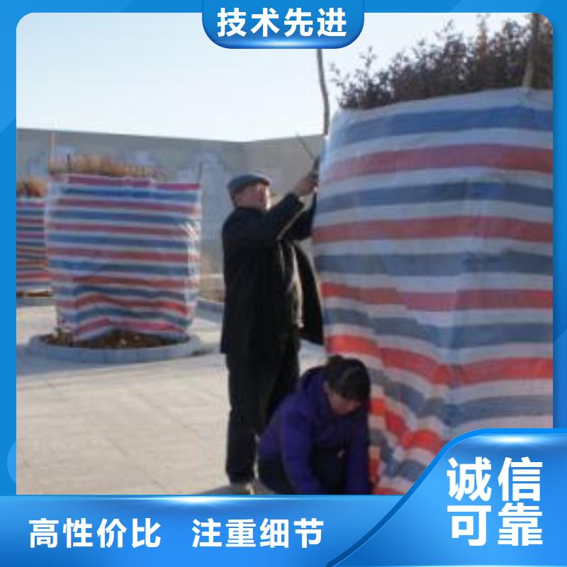 衢州生产20x30规格彩条布市场价格