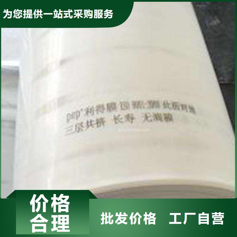 价格低的专业供货品质管控鑫鑫12米塑料布现货厂家