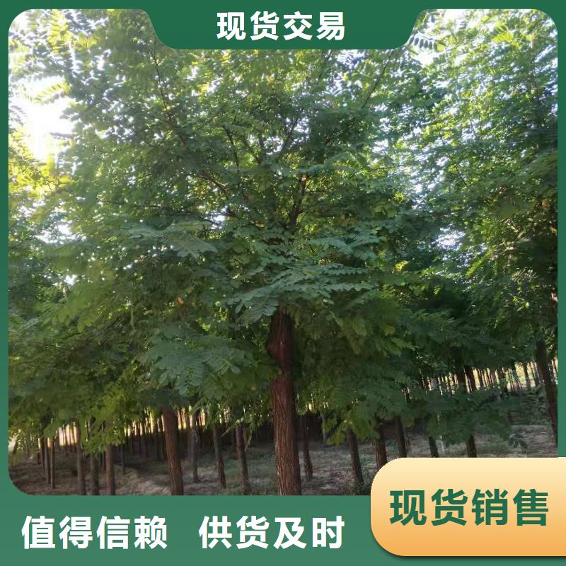 刺槐公司當地品牌