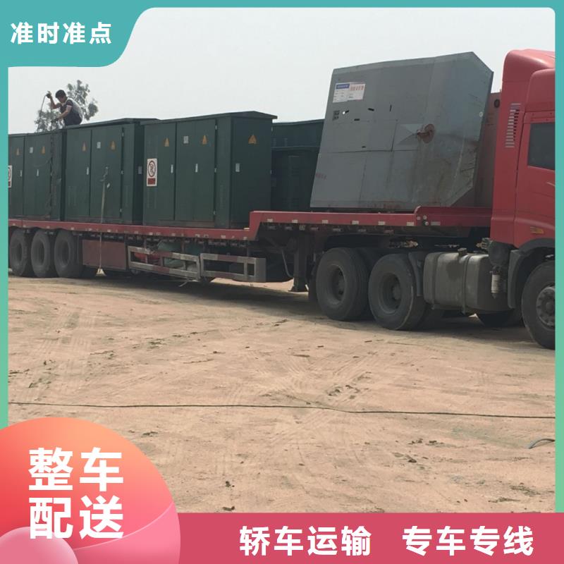西藏蘿卜工廠-廠家