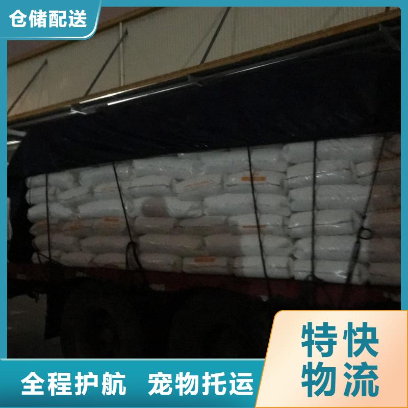 大庆质量可靠的萝卜批发商