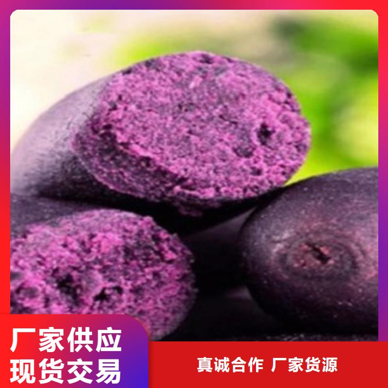 高品质紫薯粉供应商的图文介绍