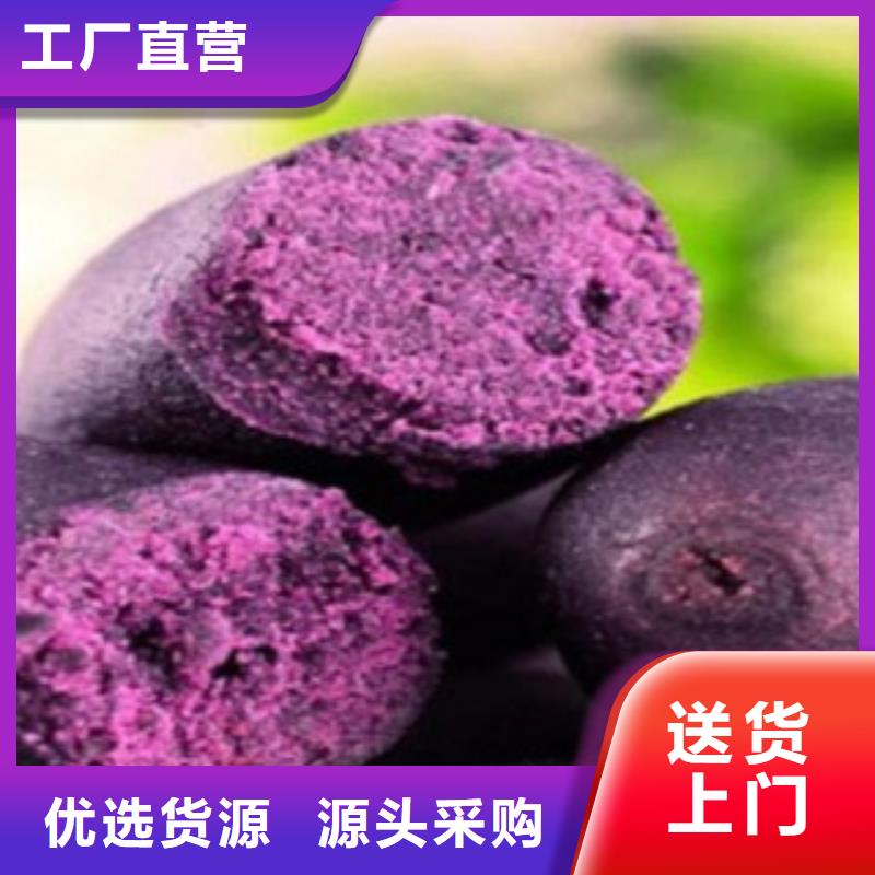 常年供应紫薯粉-价格优惠厂家直销