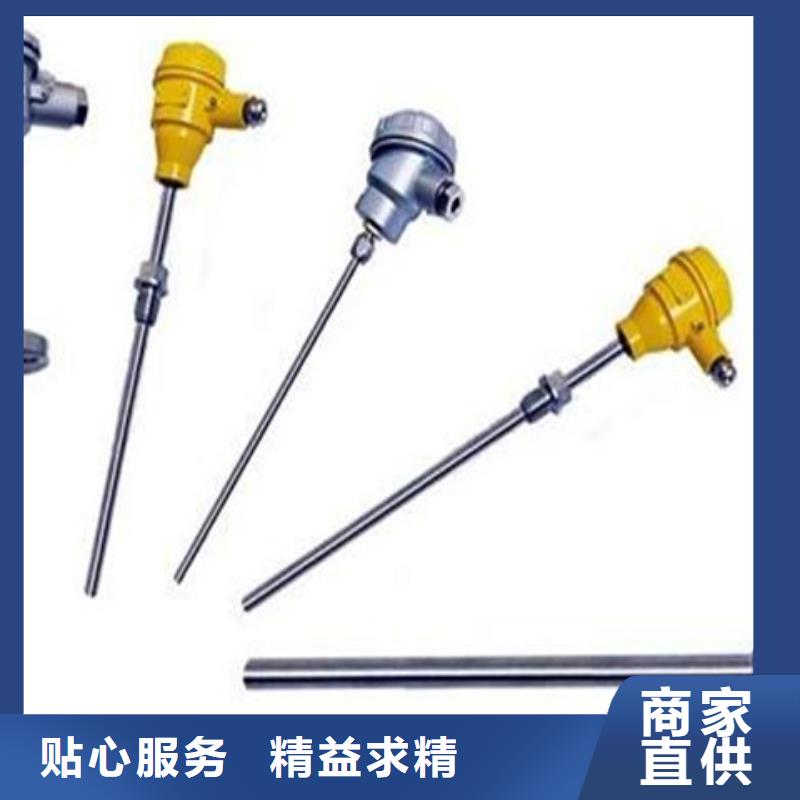 熱電阻廠家匠心品質(zhì)講信譽(yù)保質(zhì)量