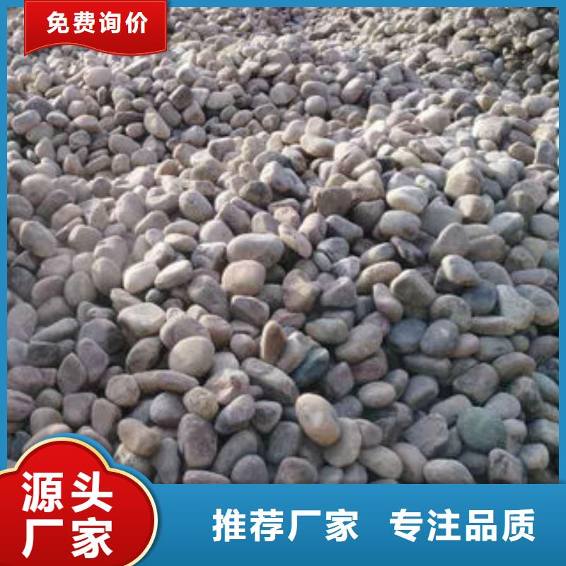 滤料_服务优质当地制造商