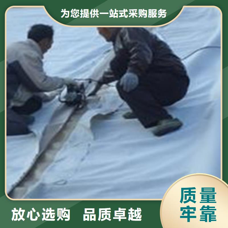 土工膜、土工膜廠家直銷_大量現貨本地品牌