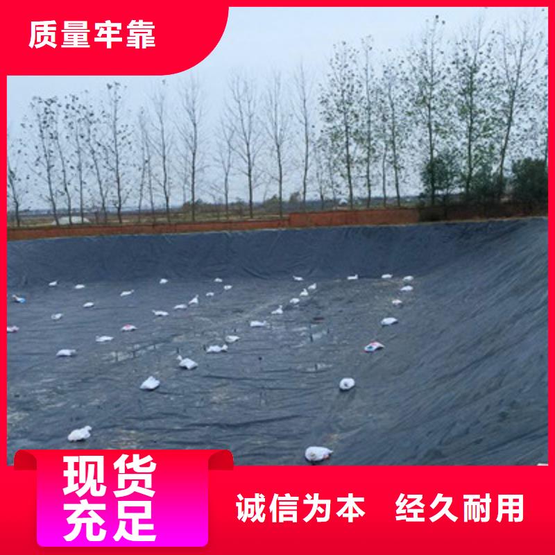 专业销售土工膜-大型厂家实体厂家支持定制