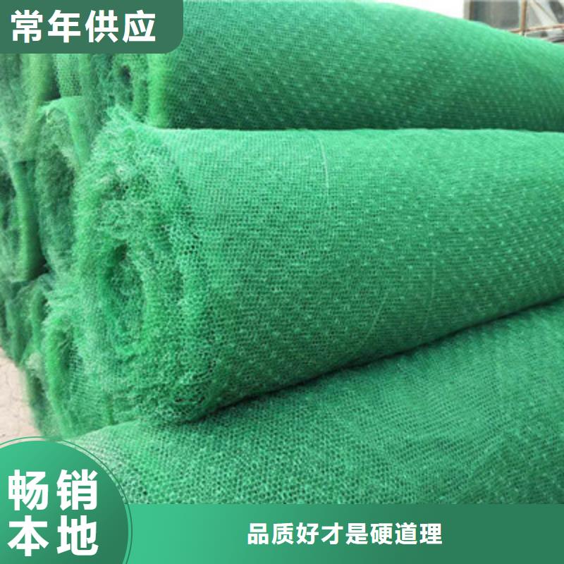 三維植被網(wǎng)批發(fā)采購?fù)欠?wù)商