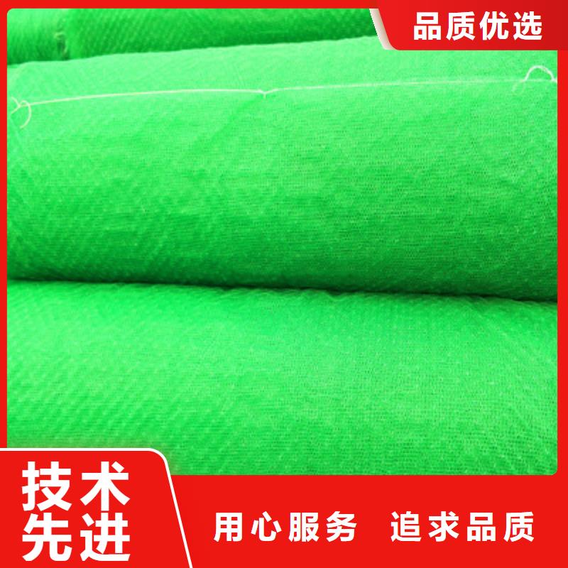 定制三維植被網_品牌廠家同城貨源