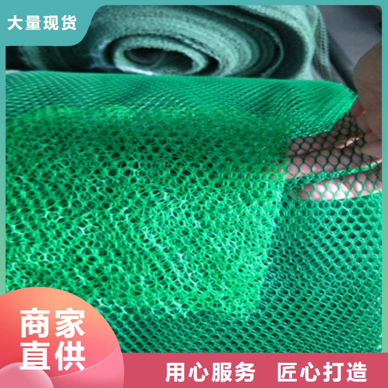 买三维植被网注意事项检验发货