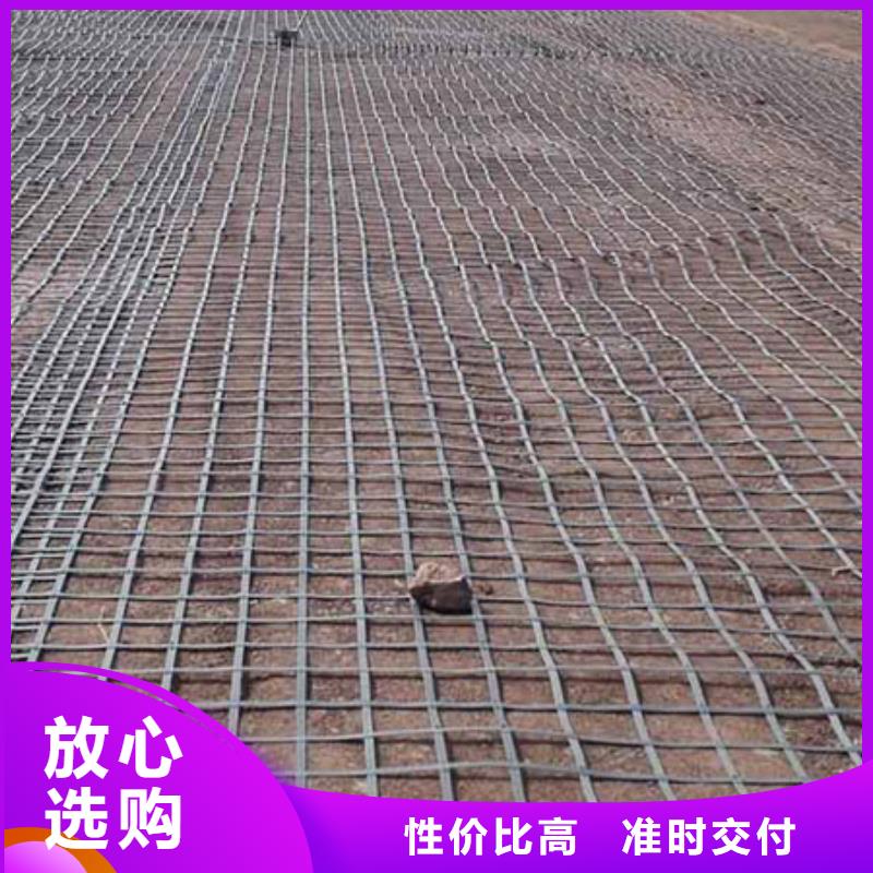 鋼塑土工格柵廠家長期供應廠家技術完善