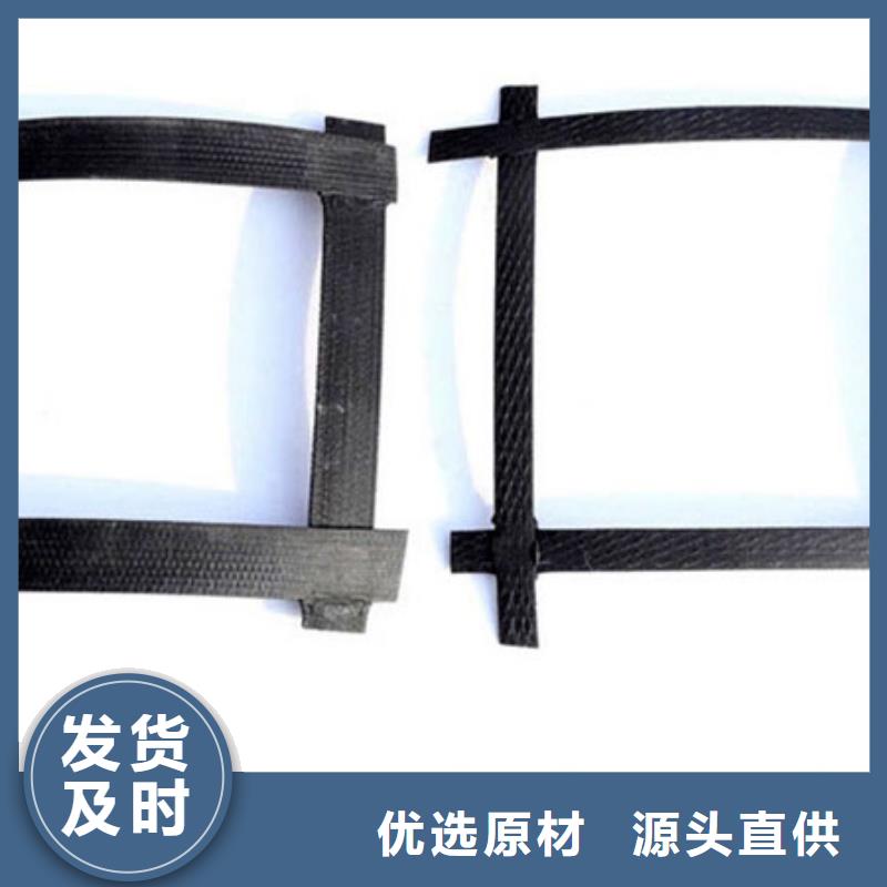 鋼塑土工格柵-鋼塑土工格柵質優價廉當地供應商