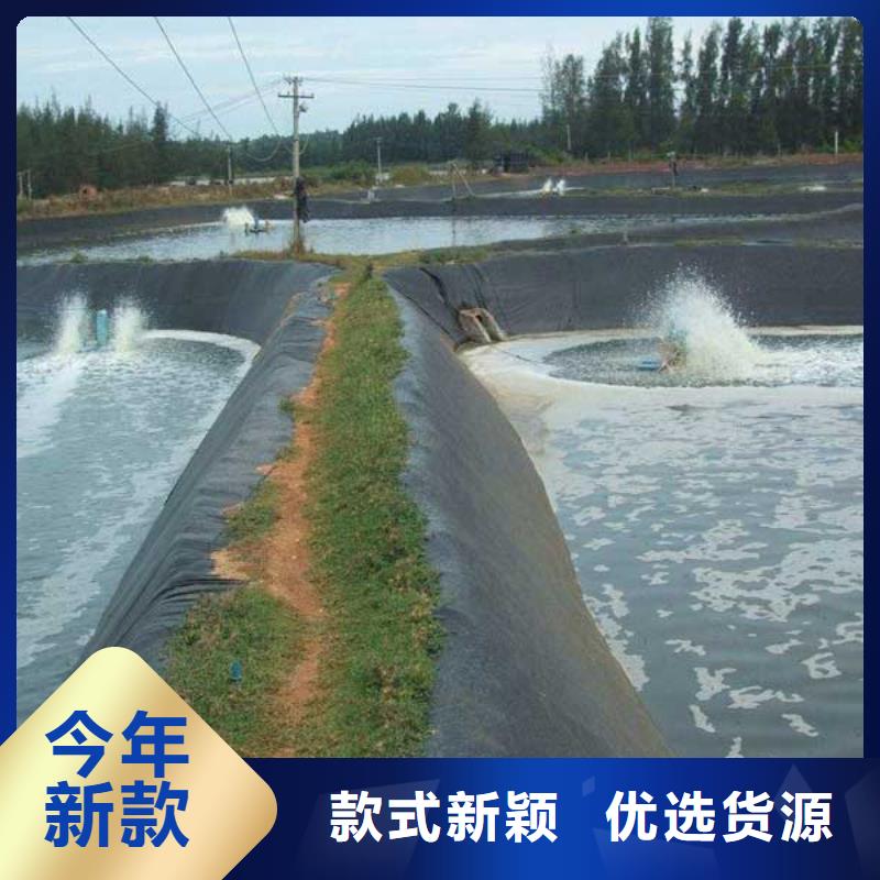 土工膜性价比高主推产品