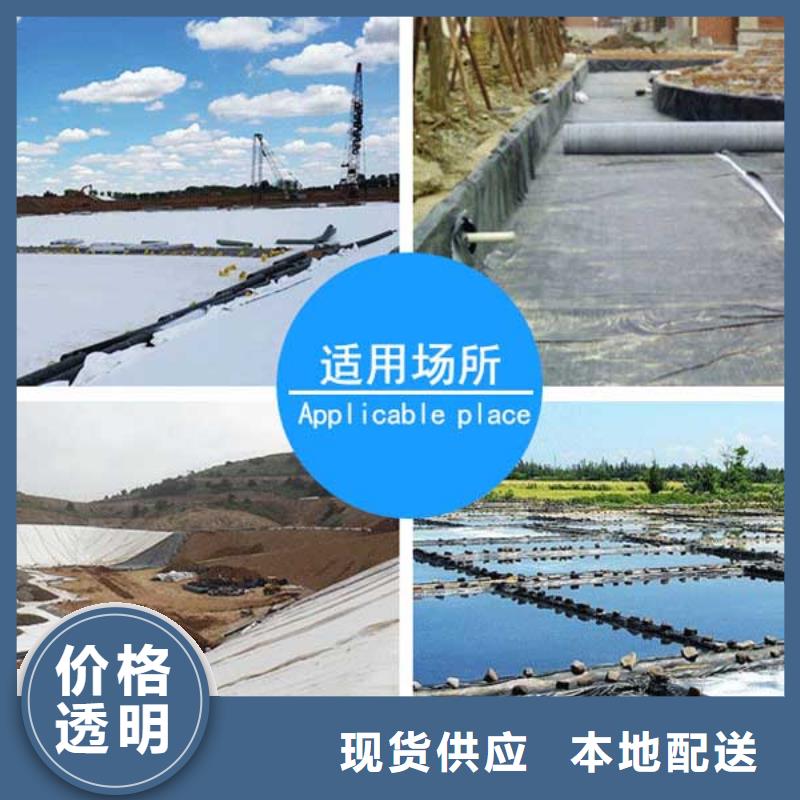 土工膜解決方案實體誠信廠家