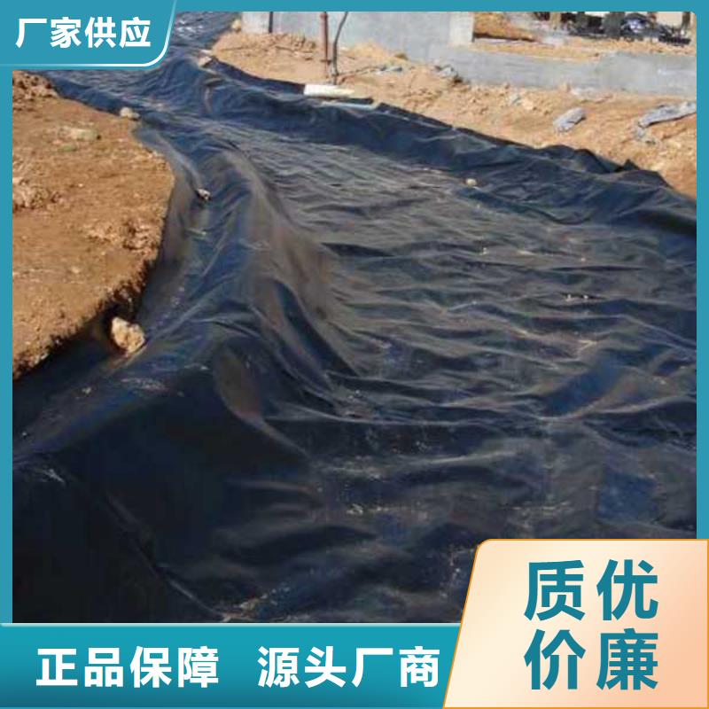 供應土工膜的廠家信譽至上